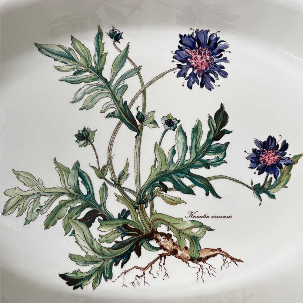 Villeroy &Boch Botanica Collection, 16“, white, Oval Baker /Casserole, florals